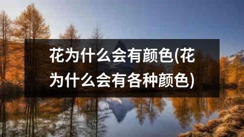 為什么會有顏色