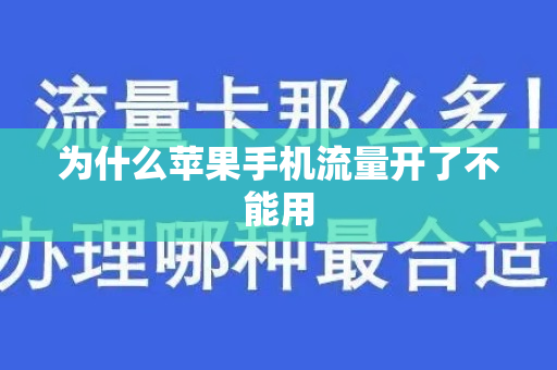 為什么不能用流量